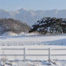 솔밭목장 이미지