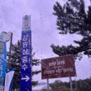 [고성여행/호텔숙소] 르네블루 바이 워커힐 내돈내산 후기