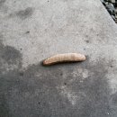 신자유식당