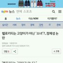 헬로키티는 고양이가 아닌 &#39;소녀&#39;?..정체성 논란 이미지