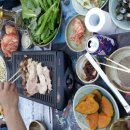 vivere 906 이미지