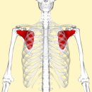 365경희길음한의원 이미지
