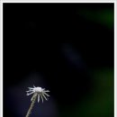 와룡자연휴양림 이미지