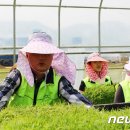 두루미자는버들골마을 이미지