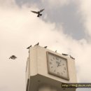 경북대학교 캠퍼스 이미지