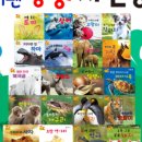 자연동화 이미지