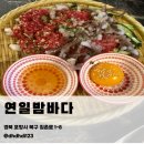 연일밤바다 | 포항 양덕 술집 연일밤바다 장성점｜해산물 안주 육회탕탕이 후기