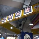 고배초밥