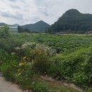 가경주유소 이미지