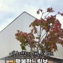 (주)행복한느림보 금정사계