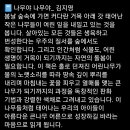 나무야 나무야 이미지