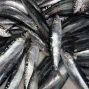 목양한의원 이미지