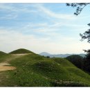 장풍숲위 이미지