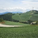 재환목장 이미지