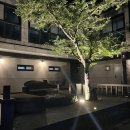 젠틀리조트 이미지