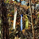 망향공원 이미지