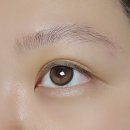 안경나라위드렌즈 이미지