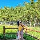 자연의 미학 이미지