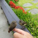 아기새어린이집 이미지