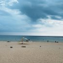 브리사 마리나 이미지