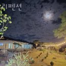 솔트리펜션