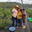 종부농장 이미지