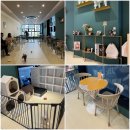 히포파통 이미지