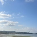 충남회센타