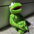 외대락코인노래연습장 | 전공 1등한 외대생이 알바 펑크났을 때 혼코노하다 오프하는 하루