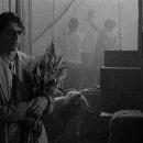 (주)영화인터내셔널 이미지