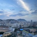 승설 녹차 | 주간일기 챌린지 11주차