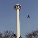 용두산공원 이미지