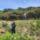 맥가이버 이미지