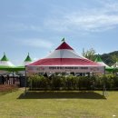 N파크 | [전북 임실]임실치즈테마파크 임실N장미축제 장미정원 부처님오신날 사전답사 실시간 후기