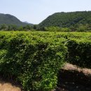 방동농장 이미지