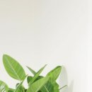 마디인정형외과의원 이미지