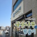 나무131 | [아산] 국수나무 월천점 규동 후기｜주차, 메뉴, 솔직 리뷰