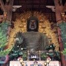 인형의 거리(개) 이미지