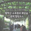 편하게 떠나는 가을 국내 패키지여행, 황학산 수목원과 화담숲 완벽 힐링코스