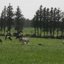 이시돌목장 이미지