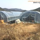 반암 농장 이미지