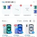 이번 학기, 마가 끼었다