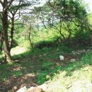 봉우리농장 이미지