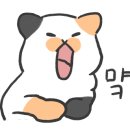 베카부산