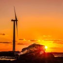 신창 그리고 제주 이미지