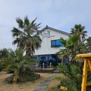 쉬엉갑서예 | [월정리]감성 인테리어에 친절함은 덤 3월 가성비 좋게 즐길 수 있는 쉬엉갑서예