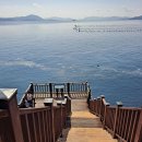 [섬테마2025년11월 1일토요일 ] 바다를 품은길~ 창원 저도 비치로드길 마산국화축제경유 안내 이미지