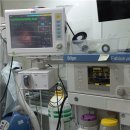 마리동물의료센터 이미지