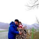 양지공원가든 이미지