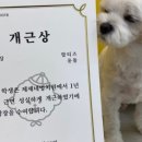 제제네멍치원(성내점) 네이버블로그